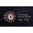 T-Motor F100 2810 (KV 1100/1350)